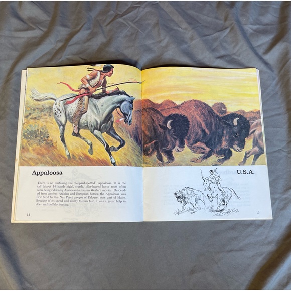 Vintage 1978 Super Book Of Horses by Kathleen Daly Soft Cover - Picture 6 of 9